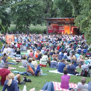 Viele Menschen sitzen auf einer Wiese vor einer Freiluftbühne.