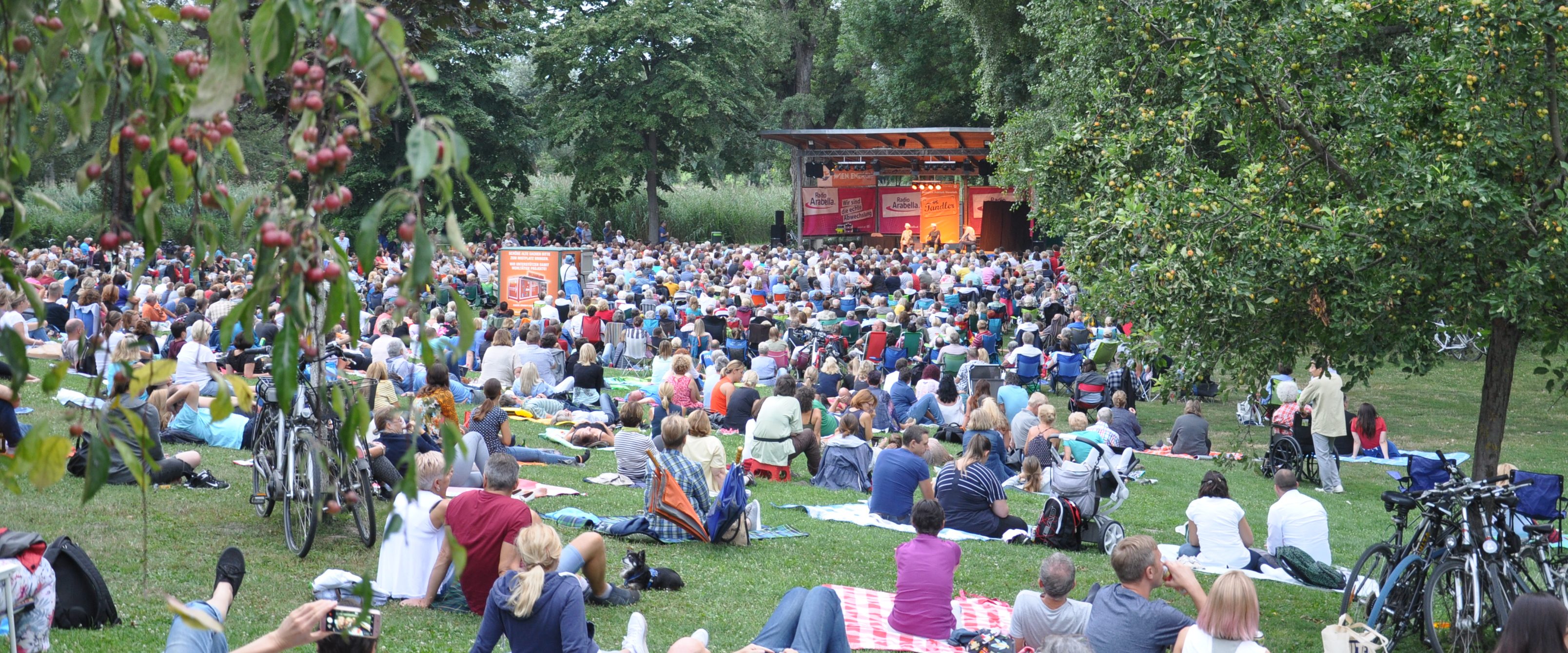 Viele Menschen sitzen auf einer Wiese vor einer Freiluftbühne.