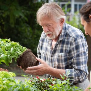 Ein älterer Mann und eine junge stehen an einem Hochbeet.