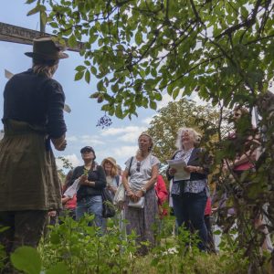Eine Kräuterpädagogin (von hinten) und Teilnehmer*innen an der singenden Kräuterwanderung stehen im Grünen.