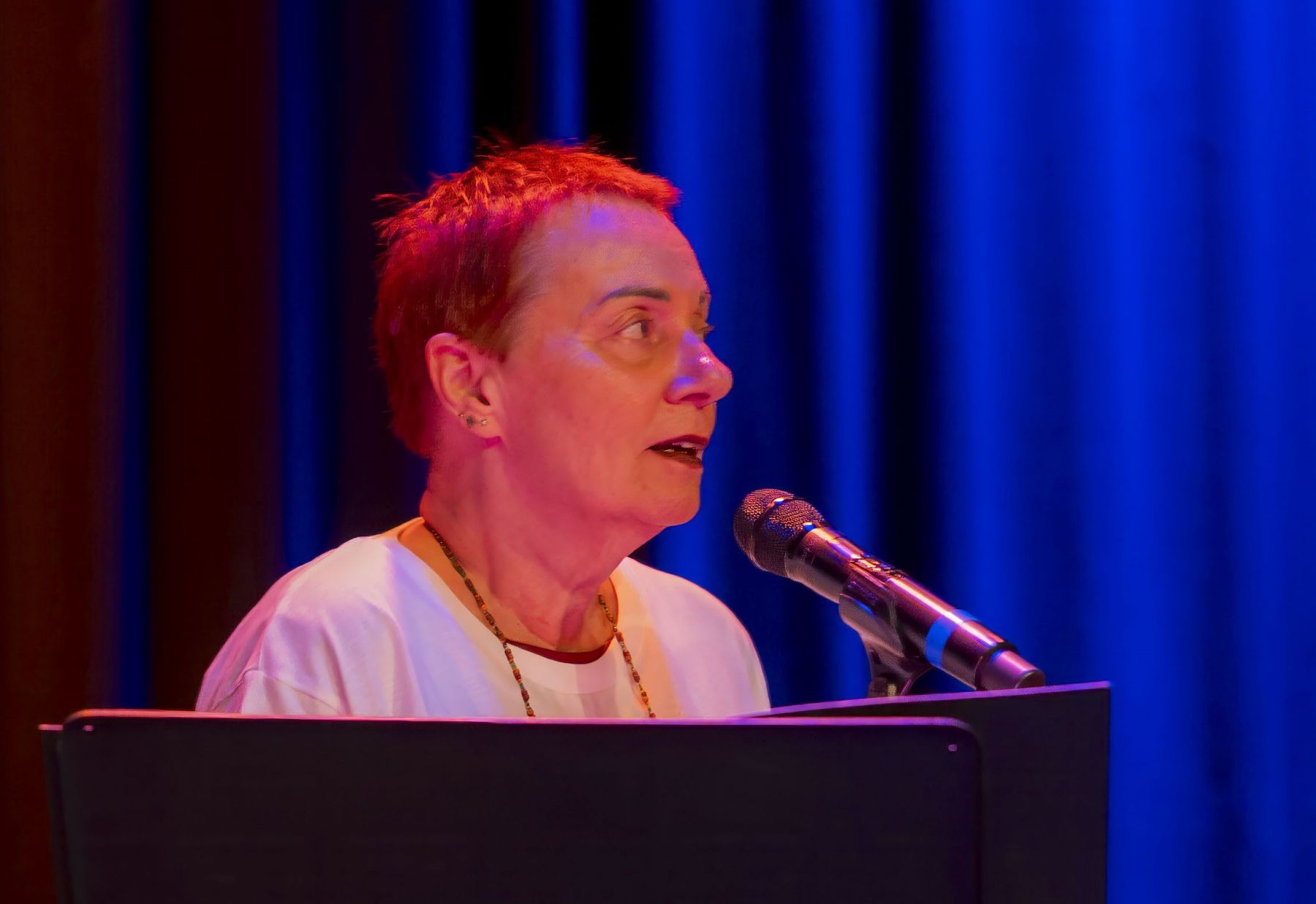 Die Werder Klub Band - Songs aus den wilden 60er-Jahren Renate Lang von der Werder Klub Band am Mikrofon.