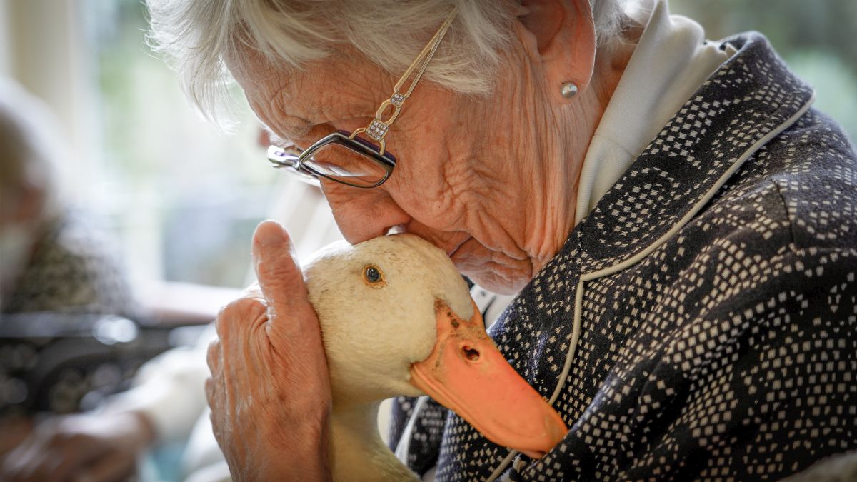 Nahaufnahme einer Seniorin mit einer weißen Ente