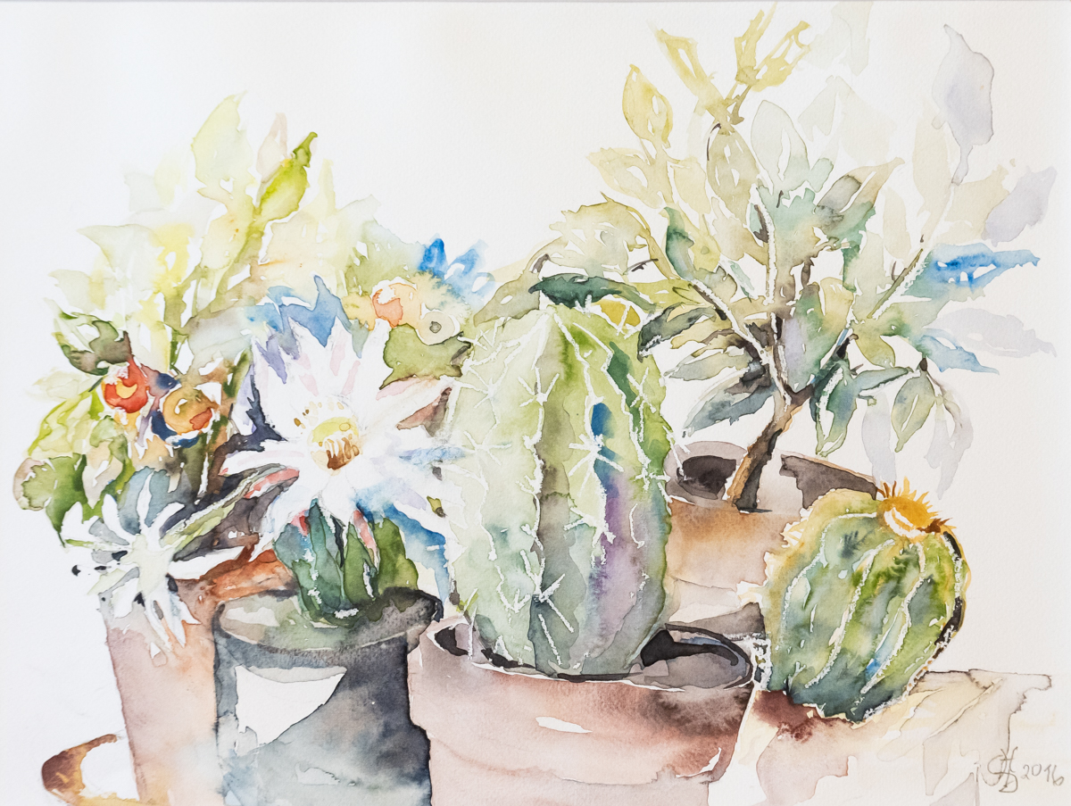 Gemälde von Christine Dratva mit Blumen, Kakteen und anderen Pflanzen.