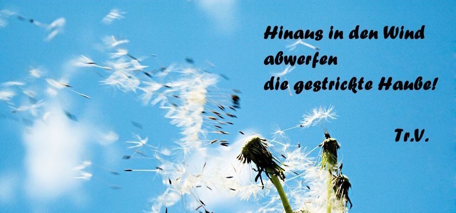 Blauer Himmel mit Wolken und Löwenzahn im Wind. Aufschrift: Hinaus in den Wind abwerfen die gestricte Haube!