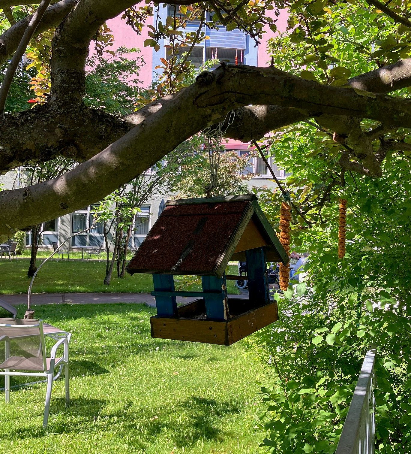 vogelhaus_hoch Ein Vogelhaus hängt auf einem Baumast im Garten des Pensionisten-Wohnhauses Prater.